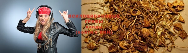 соль ск Белокуриха